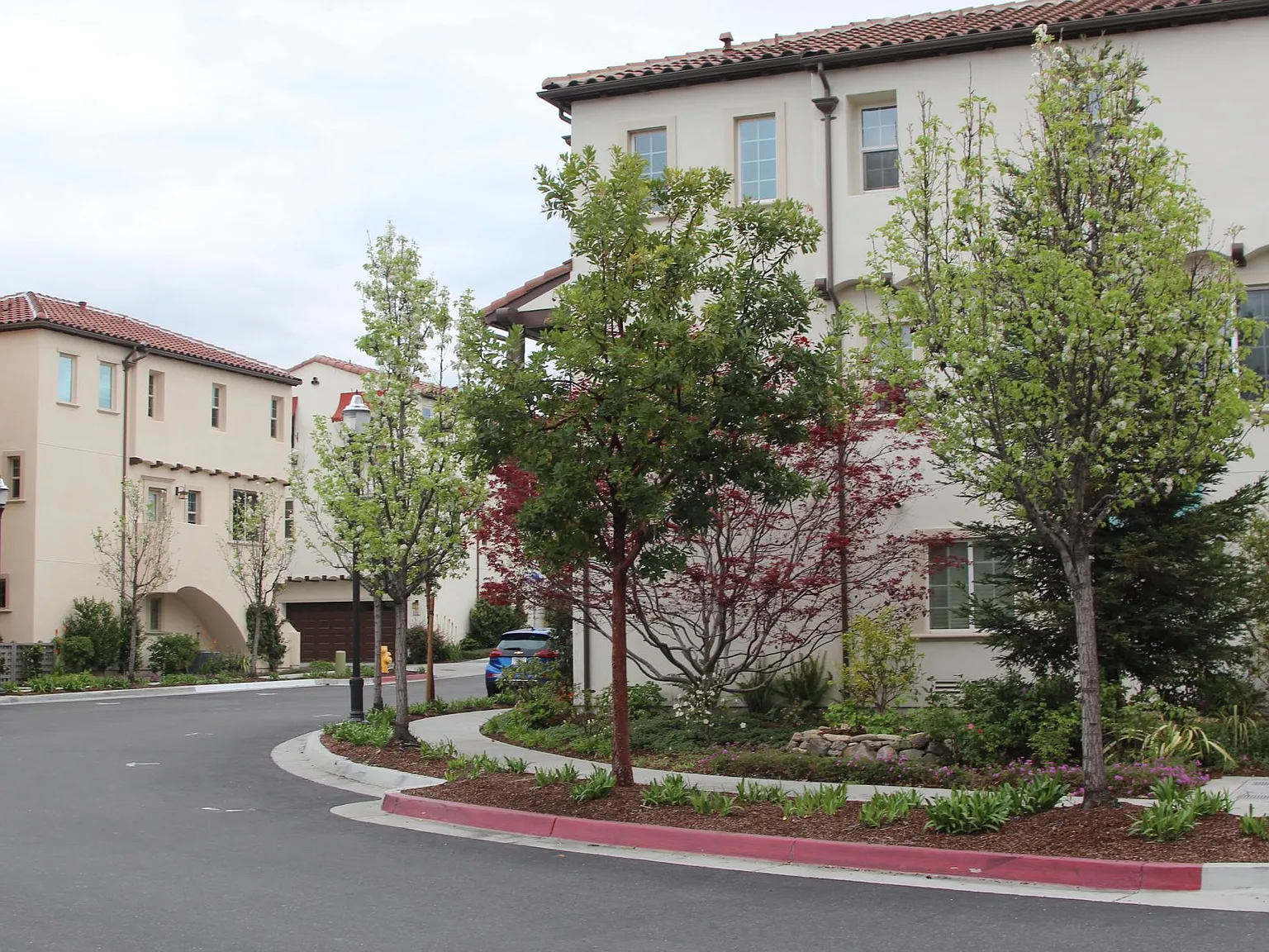 1 bed, $1,600 — Photo 3