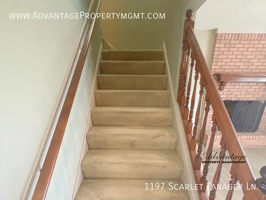 1197 Scarlet Tanager Ln. Collierville, TN 38017 — Photo 4