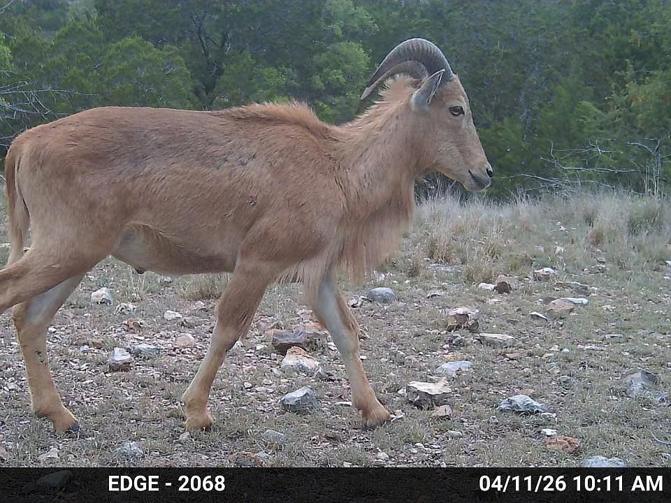 1st image of TBD SD 45730