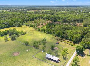 2995 Thunder Rd, Middleburg, FL 32068