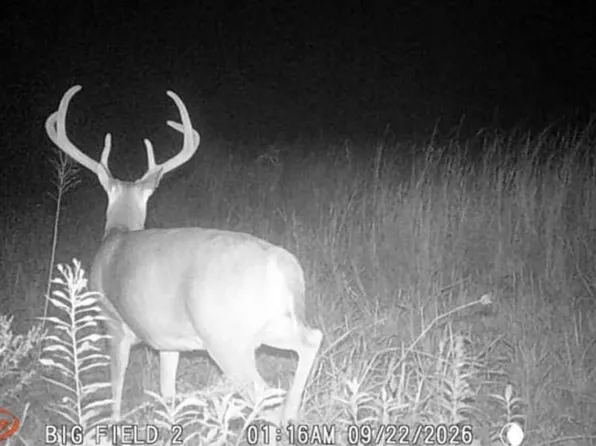 County Road 6643, Banks, AL 36005