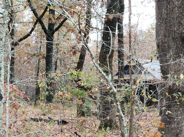 0 Carter Rte E #266, Grandin, MO 63943