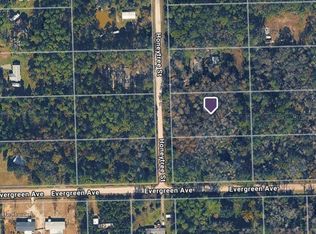 1823 HONEYTREE STREET LOT 11, BUNNELL, FL 32110