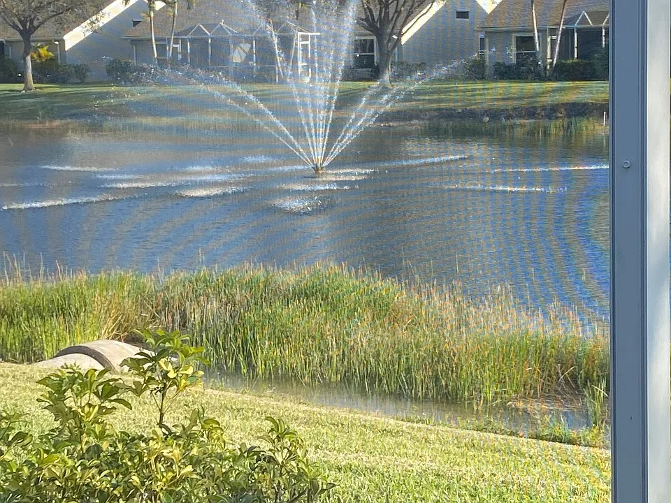 Water View