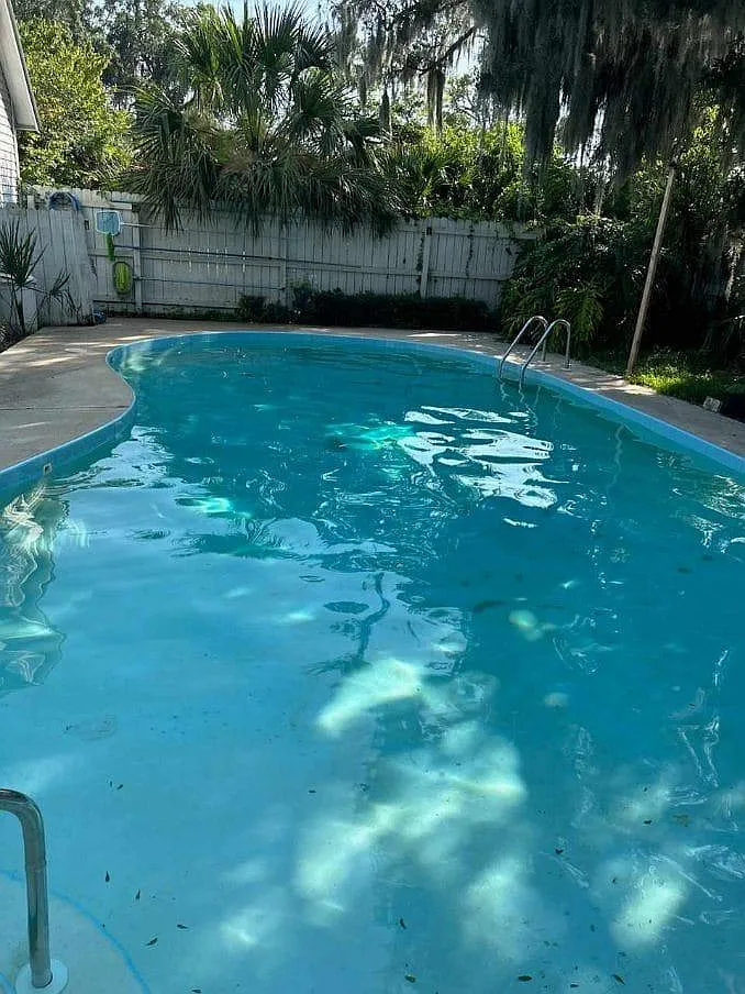 1 bed, 750 sqft, $980 — Photo 2