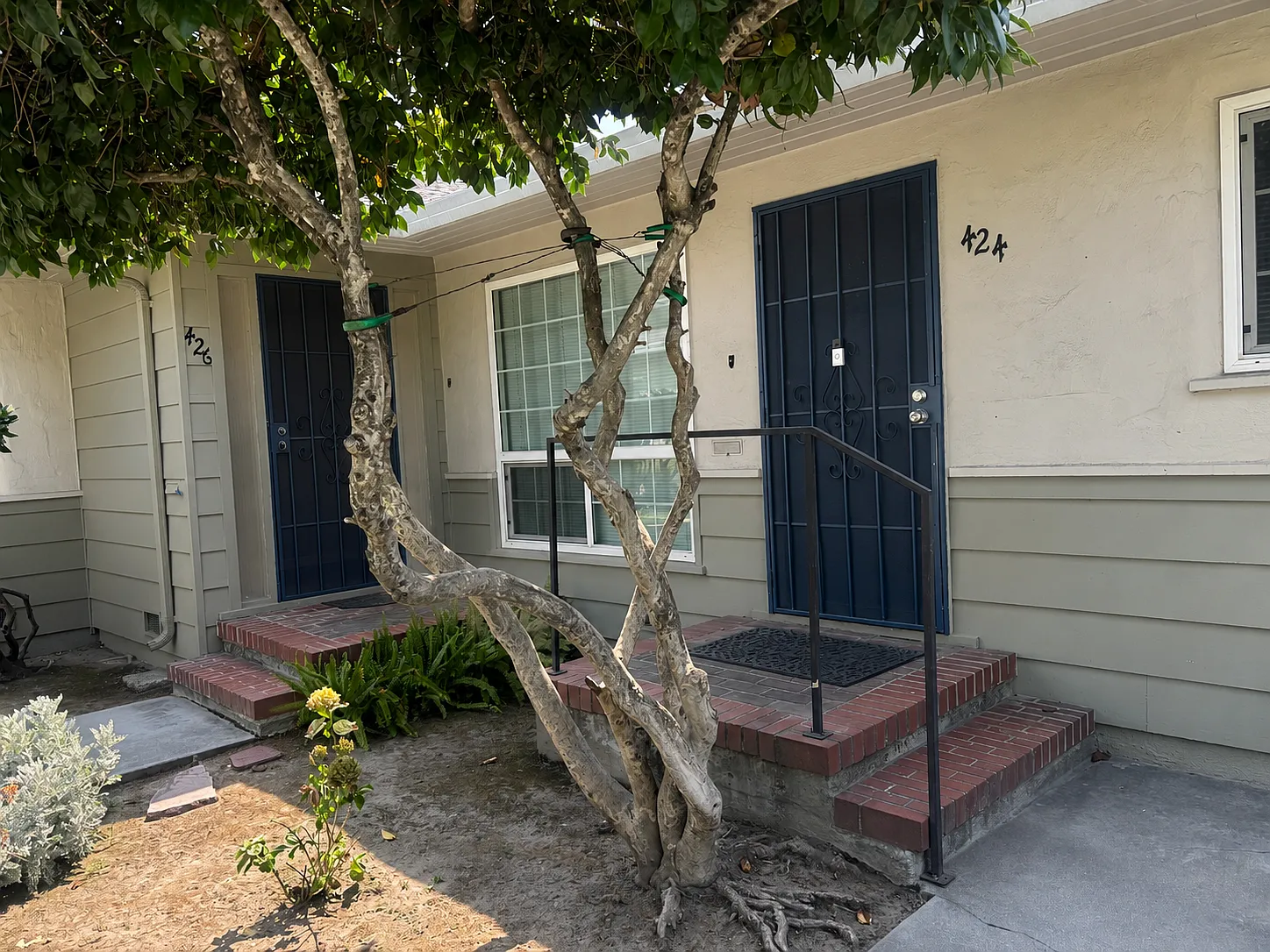 Olive Ave-426 N - 1 — Photo 2