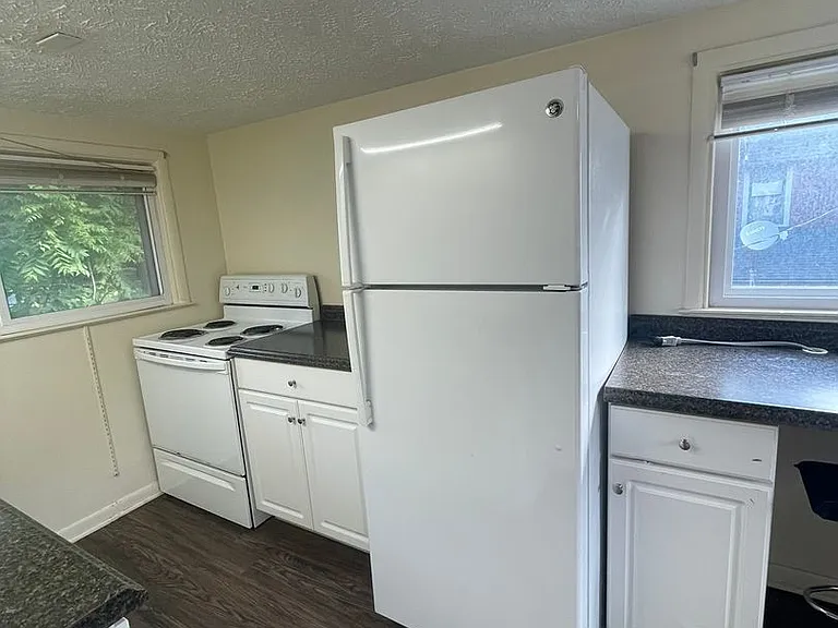 1121 Packard St — Photo 30