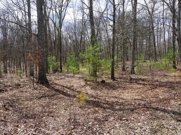 LOT 4 Roosie Rd, Dingmans Ferry, PA 18328