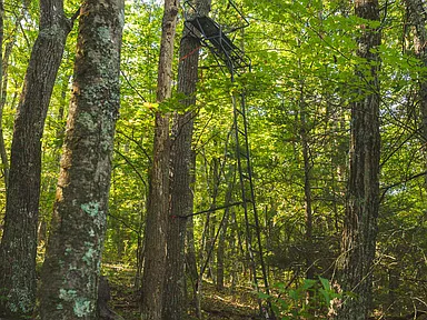 Property photo 41