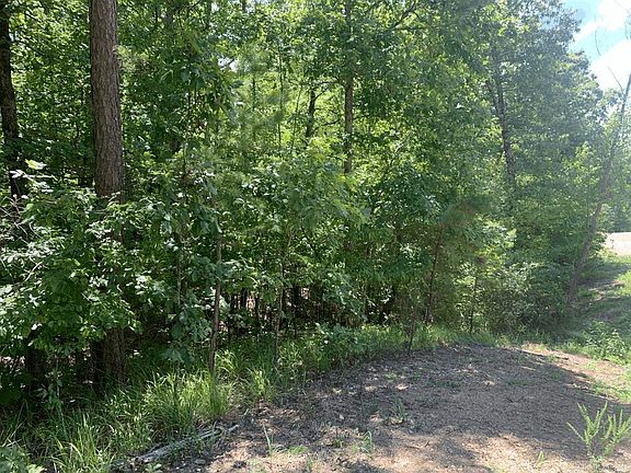 2nd image of LOT 14 Denby Cove Dr