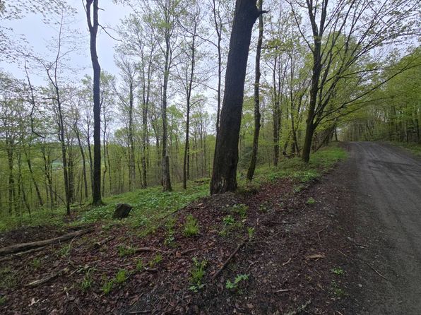 0WP Greenbush Rd, Schenevus, NY 12155