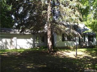 7364 Delamater Rd, Derby, NY 14047