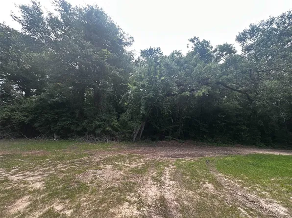 Old Israel Rd, Livingston, TX 77351