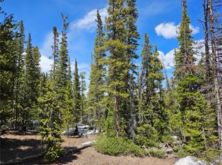 1186 Bobcat Ln, Fairplay, CO 80440