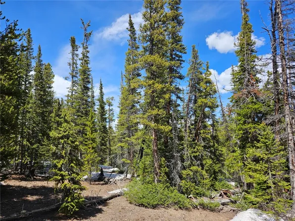 1186 Bobcat Ln, Fairplay, CO 80440