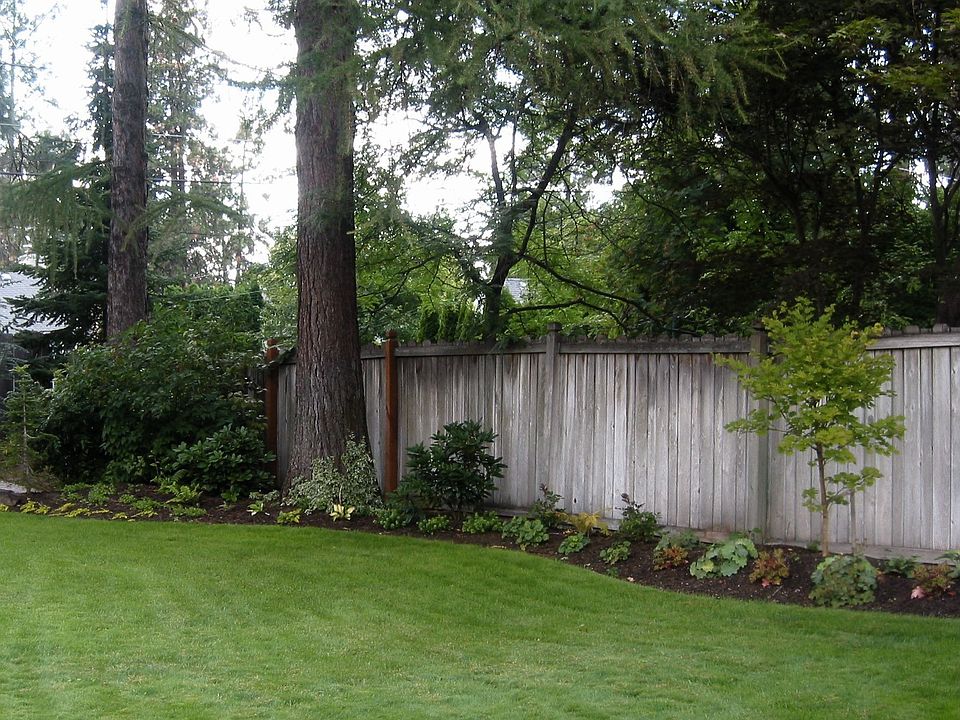 Pic of Backyard