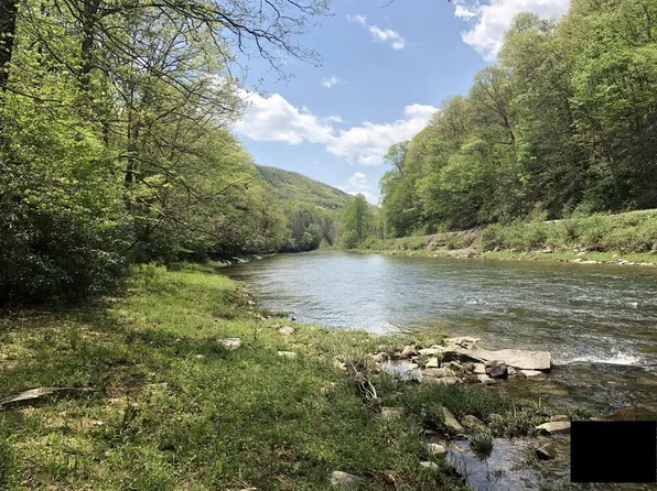 1097 Indian Ln, Cass, WV 24927