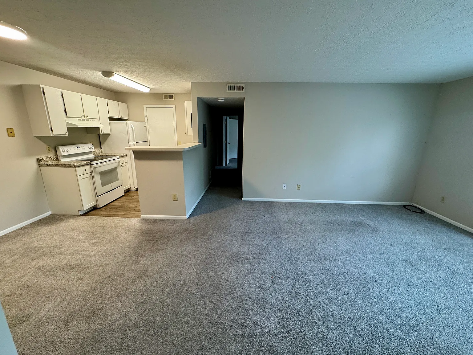 2 bed, 1007 sqft, $1,200 — Photo 3