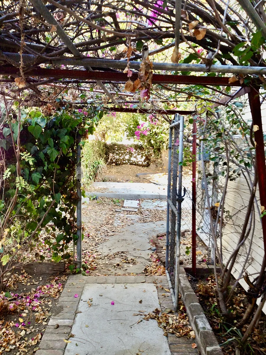 Peaceful study garden at USC North University Park rental - perfect quiet space for graduate students - 1221 W 30th St