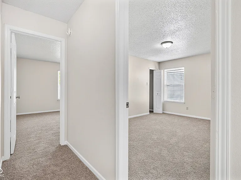 6666 Black Antler Cir — Photo 22