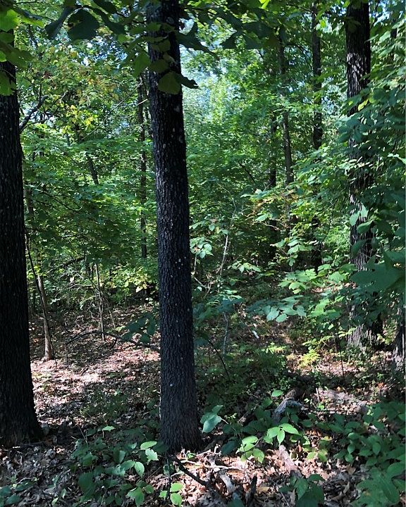 1st image of Knighton Dr #6