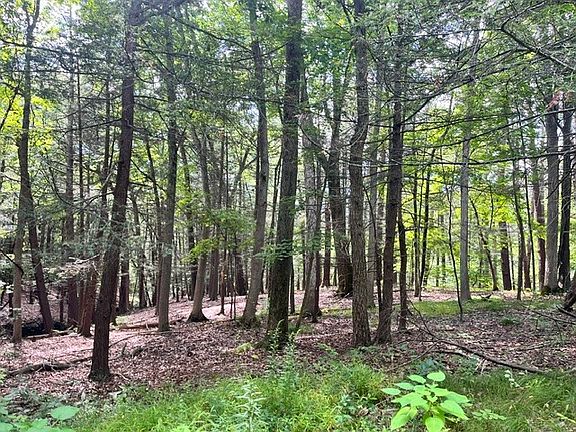 5th image of 0 Cayuga Heights Rd Lot 12