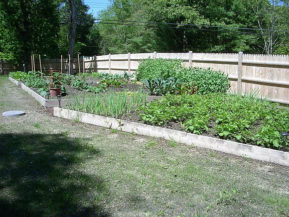 Organic Gardens