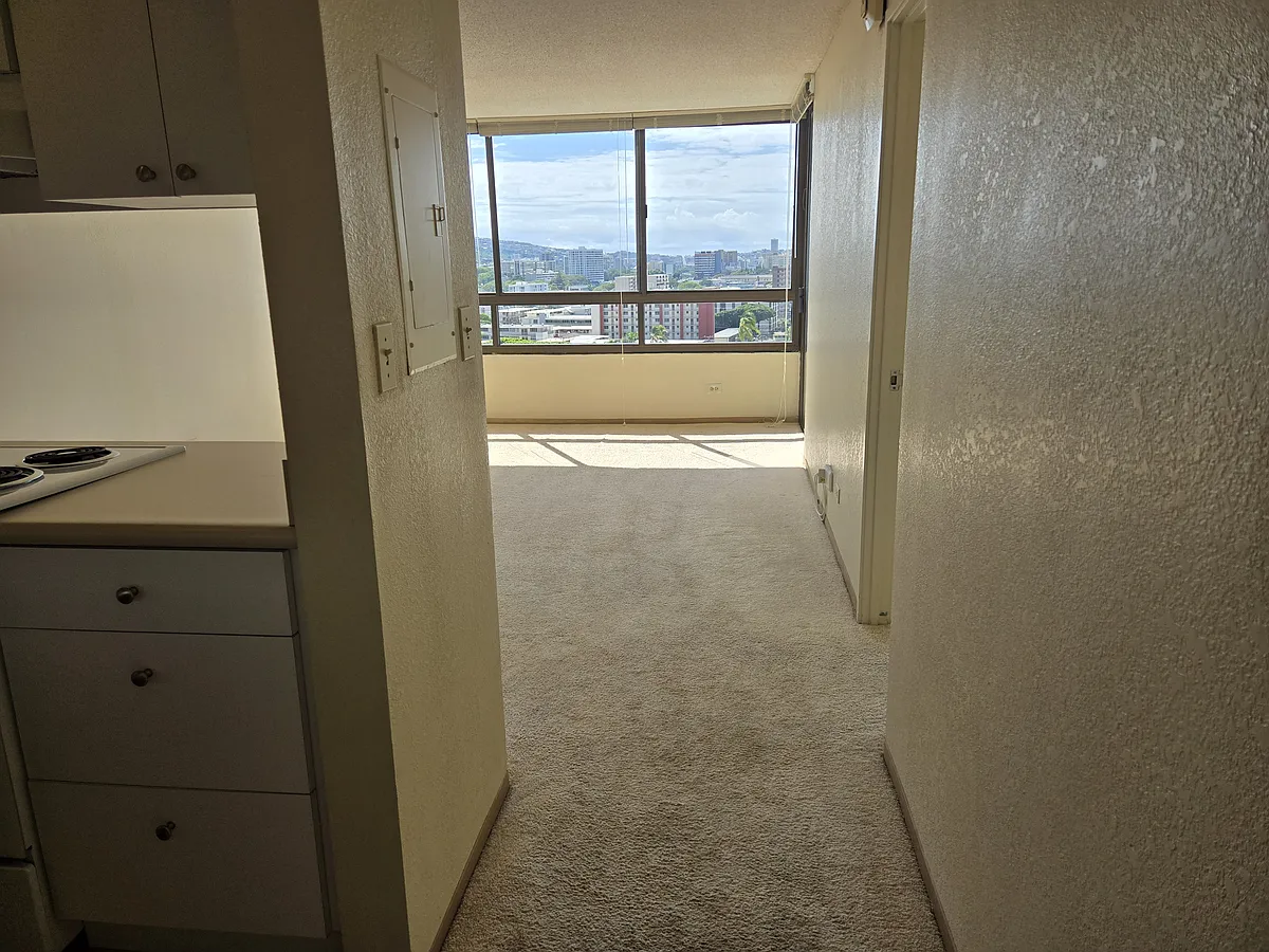 Entryway. Kitchen on left. Bathroom (not shown) on right - 1054 Green St #705