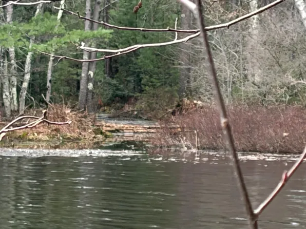Whispering Pines Ln, Tomahawk, WI 54487