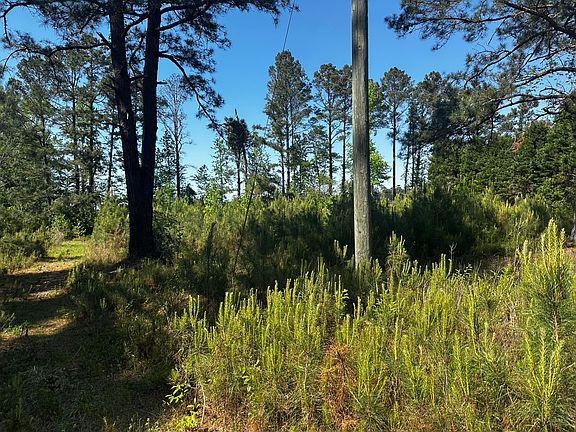 2nd image of 4360 Livingwood Dr