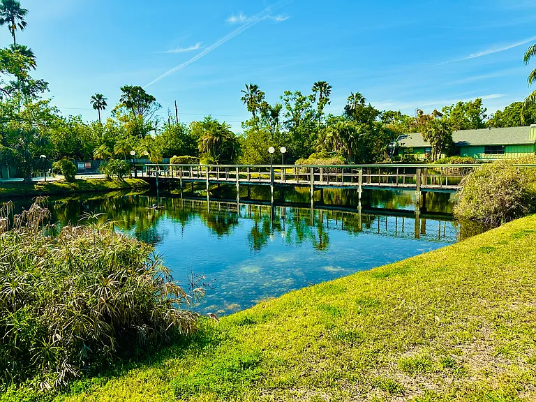 Pond with bridge leading to community pool.