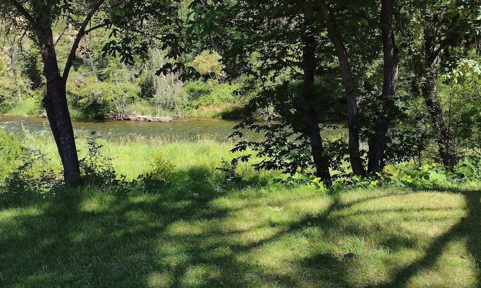 11936 Upper Applegate Rd — Photo 4