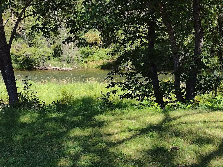 11936 Upper Applegate Rd — Photo 4