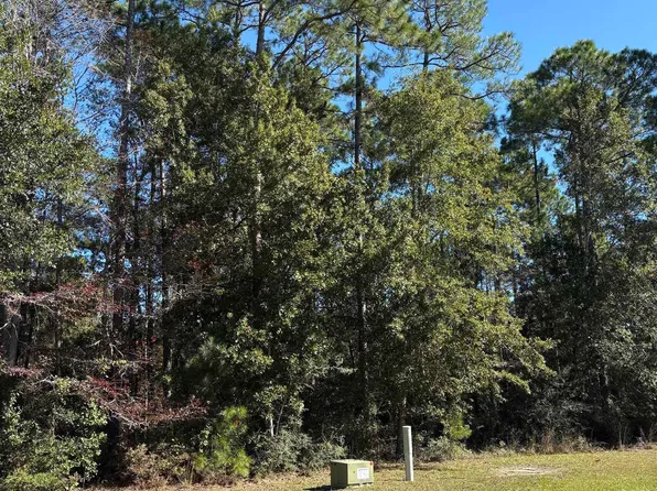 LOT 85 Treasure Oaks Rd Lot 85, Gulf Shores, AL 36542