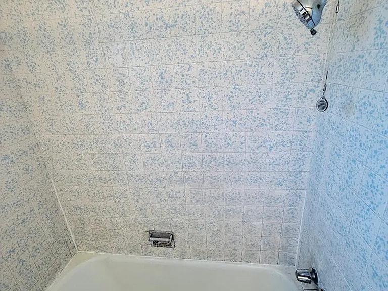 203 W Benjamin Holt Dr — Photo 10