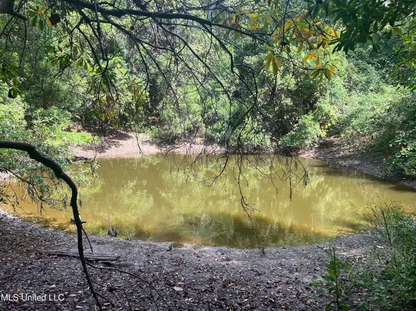 Little Creek Rd, Beaumont, MS 39423