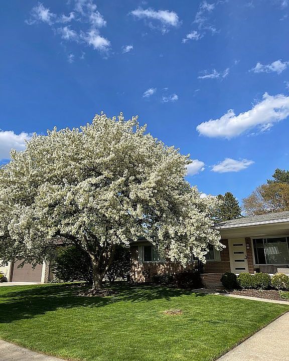 1st image of 5182 Dayton Dr