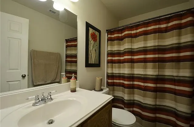 11612 Timber Heights Dr — Photo 20