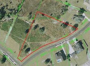 8339 Woodleaf Blvd, Wesley Chapel, FL 33544