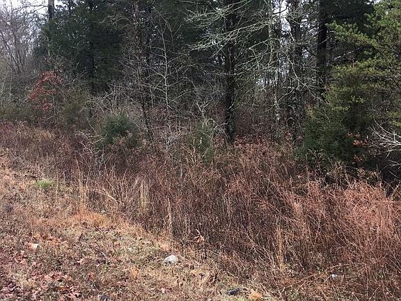 2nd image of 0 Ten Mile Ln Lot 5