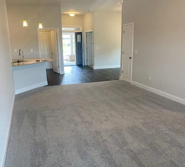 213 Alonzo Toney Dr — Photo 6