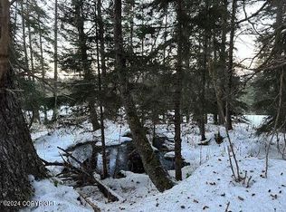 L26-B11 Lund Rd, Seldovia, AK 99663