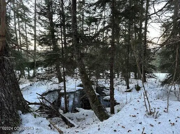 L26-B11 Lund Rd, Seldovia, AK 99663