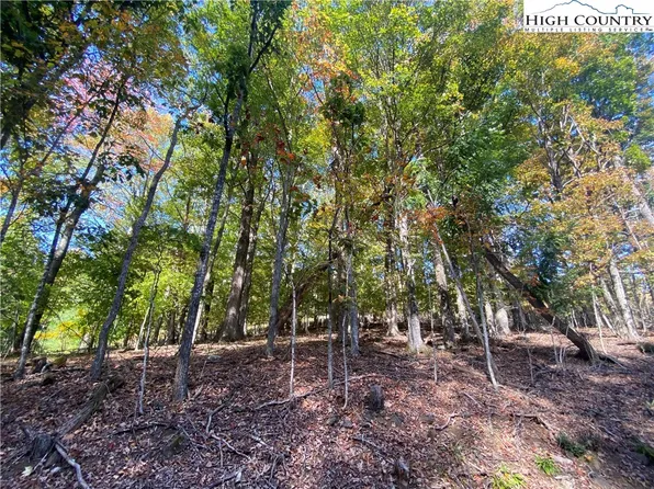 TBD Maple Ridge Drive, Boone, NC 28607