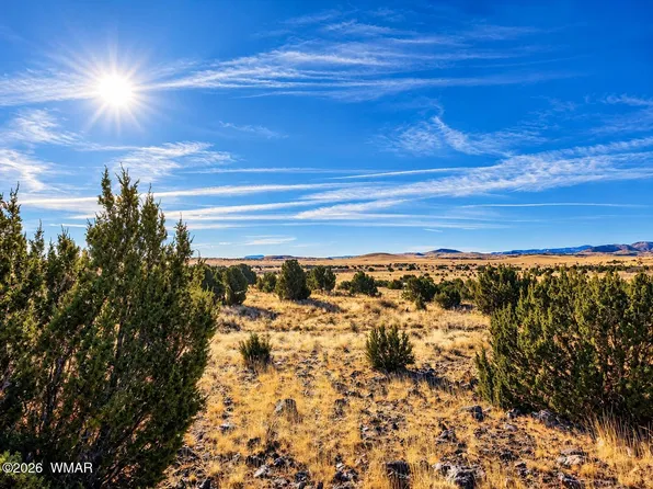 19 N5232, Concho, AZ 85924
