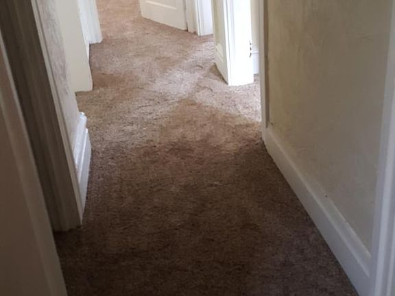 5th image of 111 Woodlawn Ave