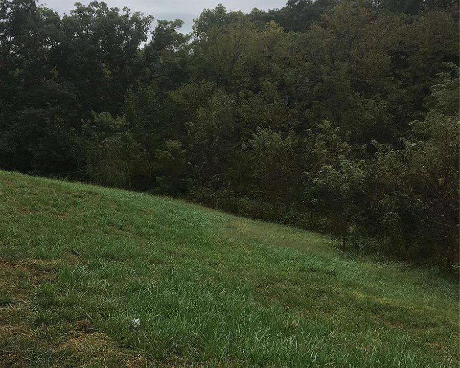2nd image of 122 Peachleaf Ct
