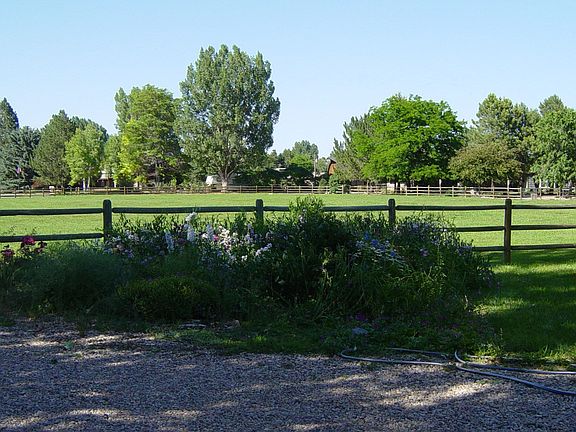 front yard