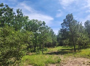 124 Paintbrush Ln, Bastrop, TX 78602