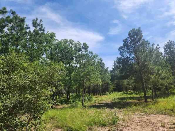 124 Paintbrush Ln, Bastrop, TX 78602